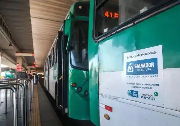 Imagem de Sete linhas de ônibus terão aumento no número de viagens a partir de segunda (2); confira