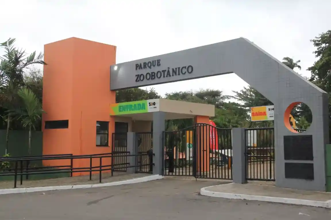 Imagem de Zoológico de Salvador reabre com mais de mil animais e novidades