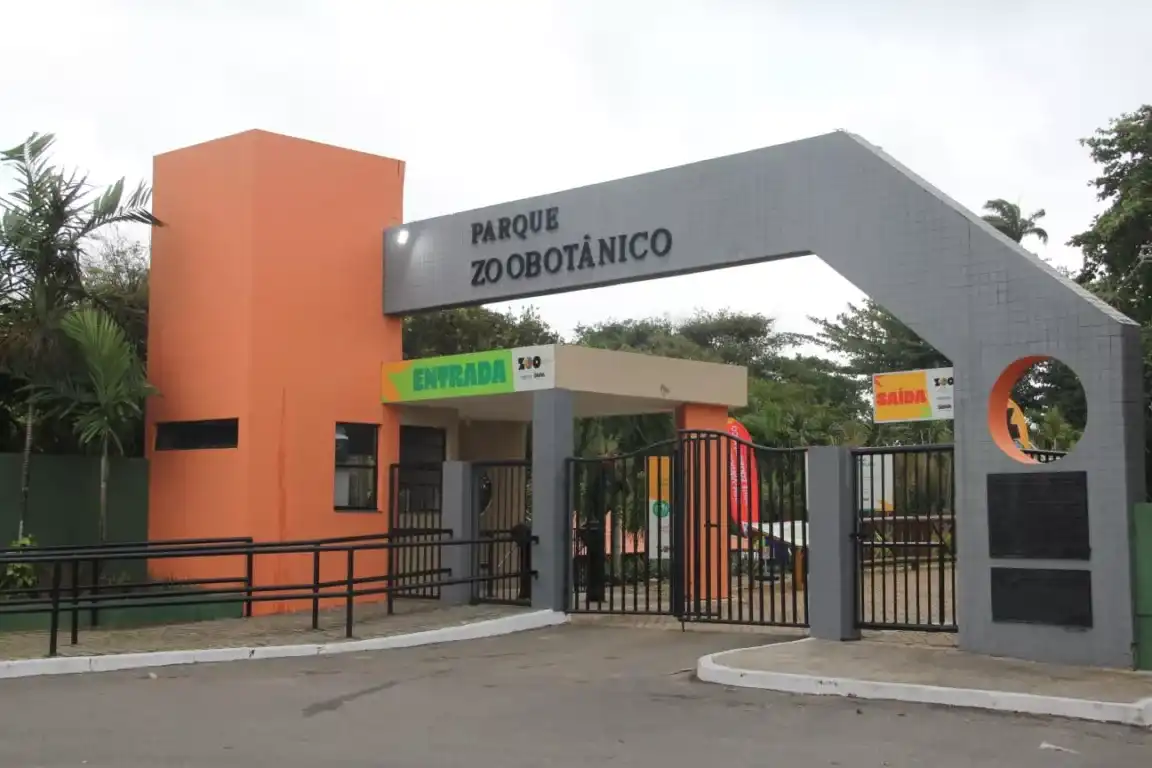 Imagem de Zoológico de Salvador reabre com mais de mil animais e novidades