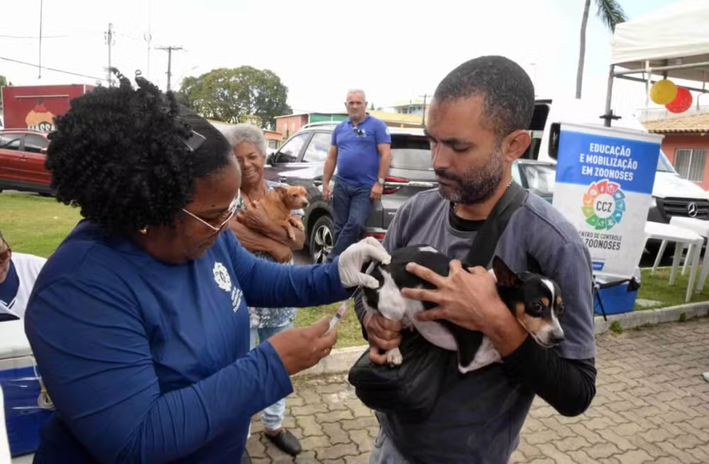 Imagem de Prefeitura de Salvador promove Dia D de vacinação antirrábica em cães e gatos