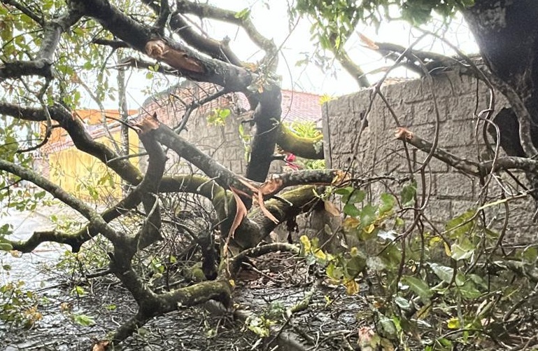 Imagem de Com fortes chuvas, Bahia é atingida por mais de 73 mil raios em apenas dois dias