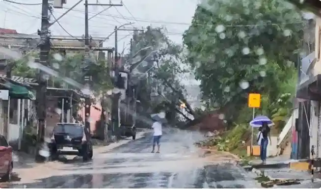 Imagem de Árvore de grande porte cai, derruba escadaria e provoca explosão em fios de alta tensão em Simões Filho