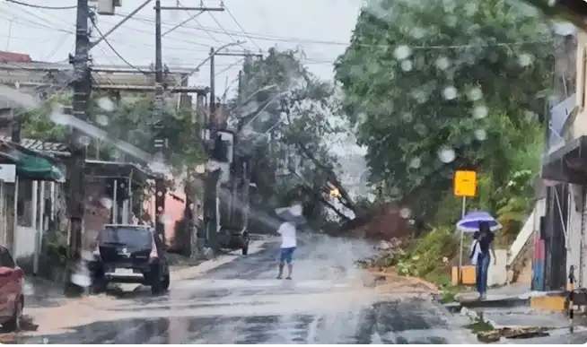 Imagem de Árvore de grande porte cai, derruba escadaria e provoca explosão em fios de alta tensão em Simões Filho