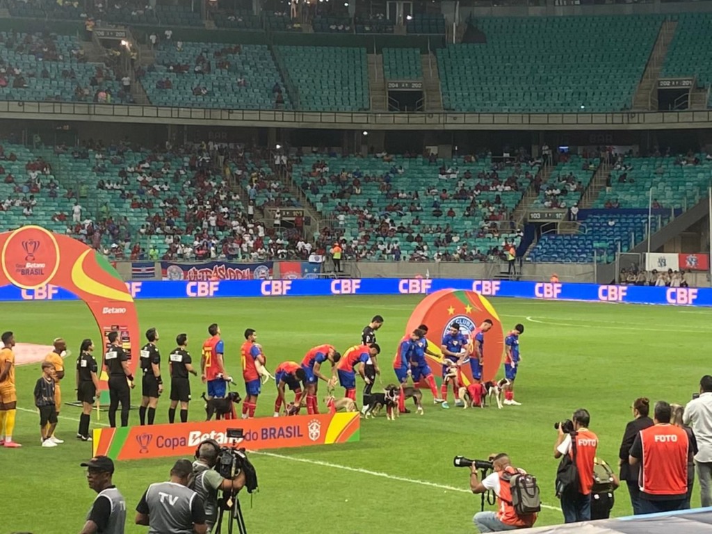 Imagem de Jogadores do Bahia entram em campo com cães para adoção e emocionam o público