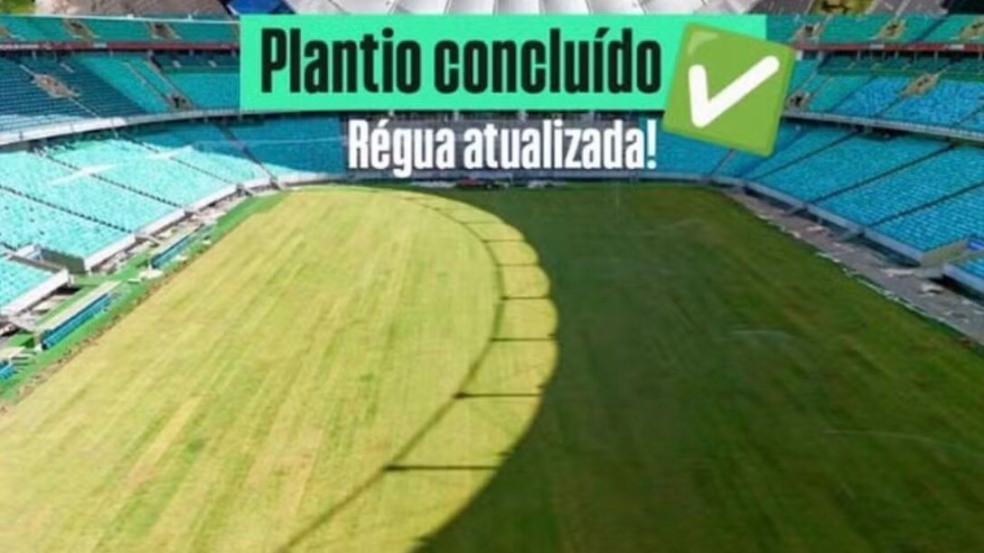 Imagem de Fonte Nova finaliza plantio do novo gramado