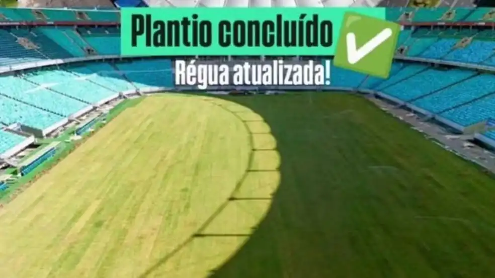 Imagem de Fonte Nova finaliza plantio do novo gramado