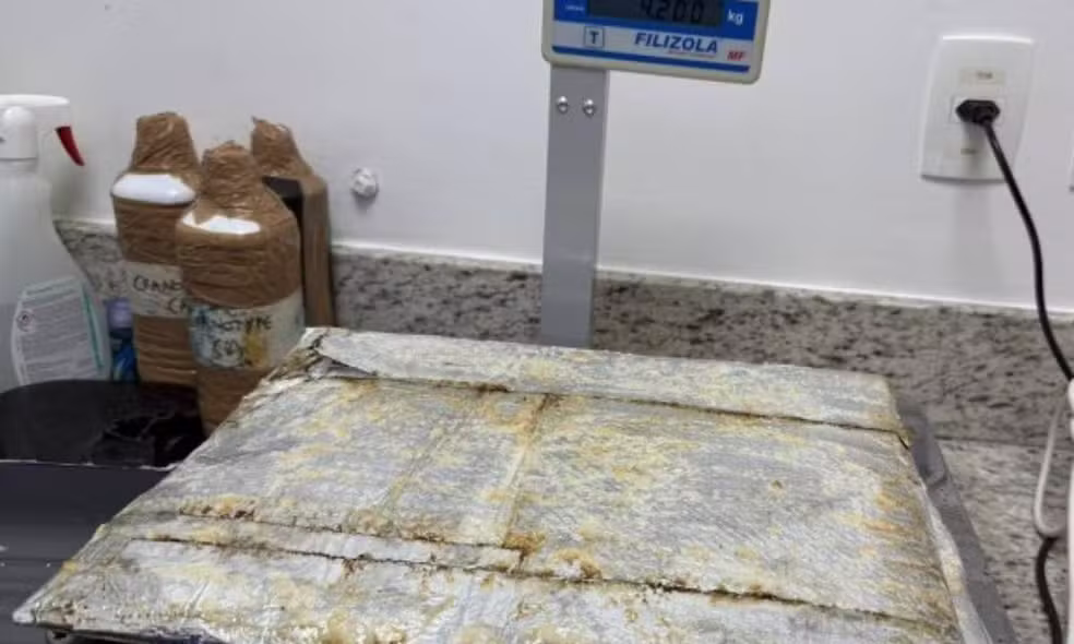 Imagem de Jovem é presa no aeroporto de Salvador após tentar embarcar para França com cocaína escondida em mala