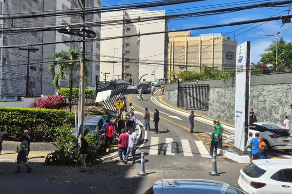 Imagem de Idosa perde controle do carro e derruba portão do Shopping Barra