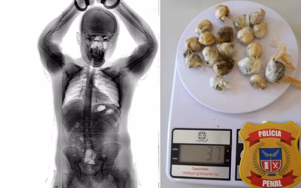 Imagem de Homem engole 18 porções de maconha para entrar em presídio na Bahia