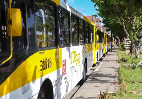 Imagem de Prefeitura amplia viagens em 16 linhas de ônibus de Salvador