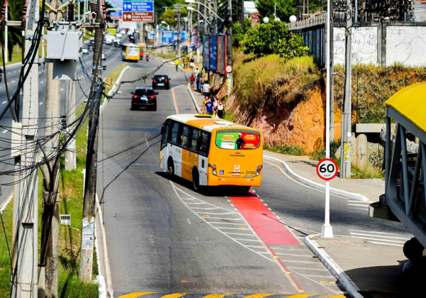 Imagem de Salvador receberá 180 novos microônibus para renovar transporte complementar